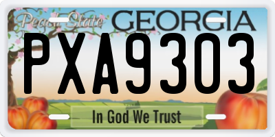 GA license plate PXA9303