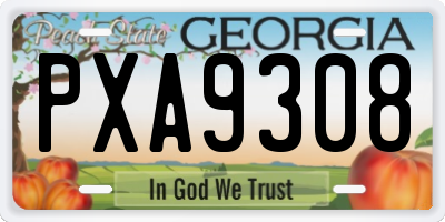GA license plate PXA9308
