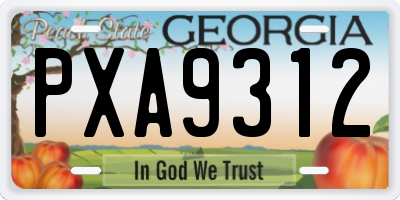 GA license plate PXA9312