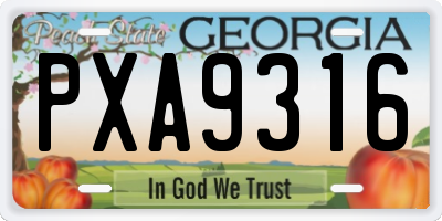 GA license plate PXA9316