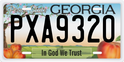 GA license plate PXA9320
