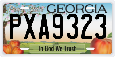 GA license plate PXA9323