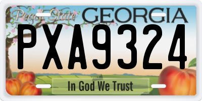 GA license plate PXA9324