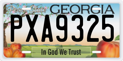 GA license plate PXA9325