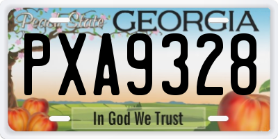 GA license plate PXA9328