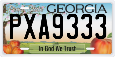 GA license plate PXA9333