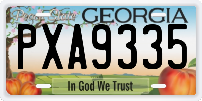 GA license plate PXA9335