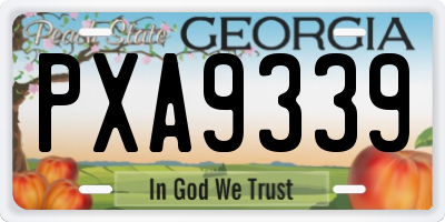 GA license plate PXA9339
