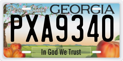 GA license plate PXA9340