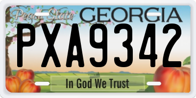 GA license plate PXA9342
