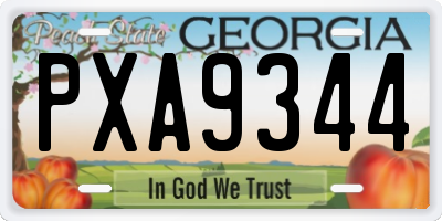 GA license plate PXA9344