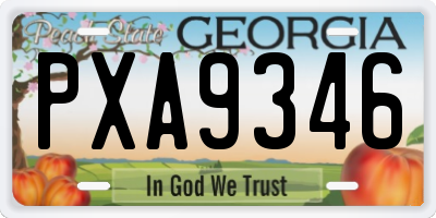 GA license plate PXA9346