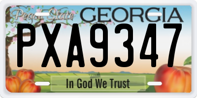 GA license plate PXA9347