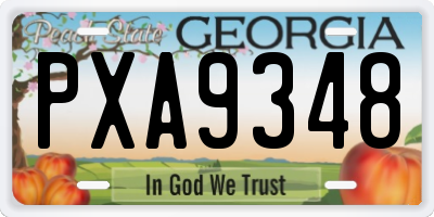 GA license plate PXA9348