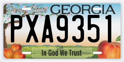 GA license plate PXA9351