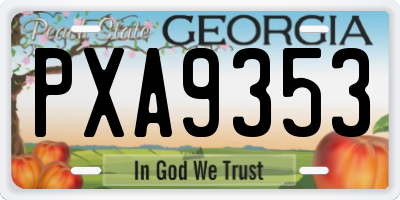 GA license plate PXA9353