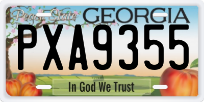 GA license plate PXA9355