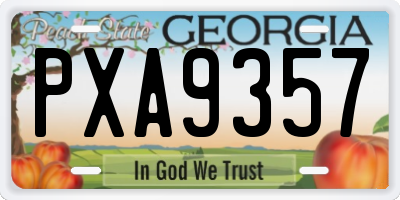 GA license plate PXA9357