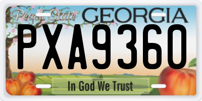 GA license plate PXA9360