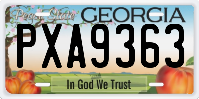 GA license plate PXA9363