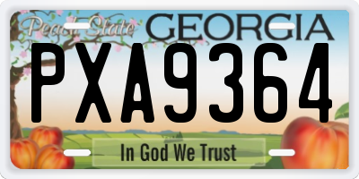 GA license plate PXA9364