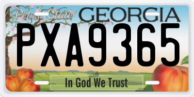 GA license plate PXA9365