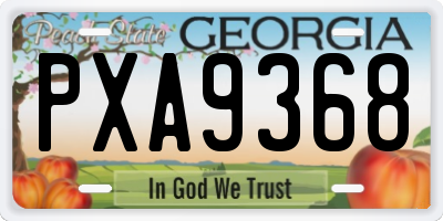GA license plate PXA9368