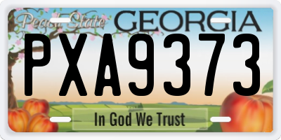 GA license plate PXA9373