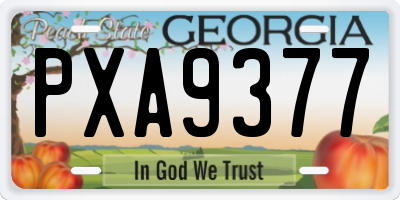 GA license plate PXA9377