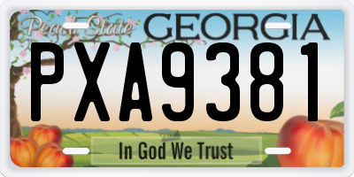 GA license plate PXA9381