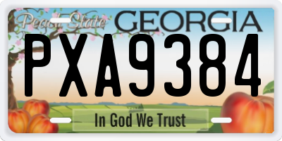 GA license plate PXA9384