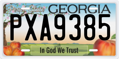 GA license plate PXA9385