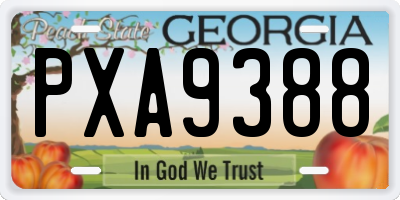 GA license plate PXA9388