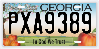 GA license plate PXA9389