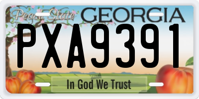 GA license plate PXA9391
