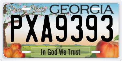 GA license plate PXA9393