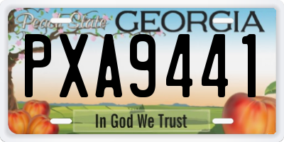 GA license plate PXA9441