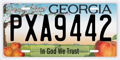 GA license plate PXA9442