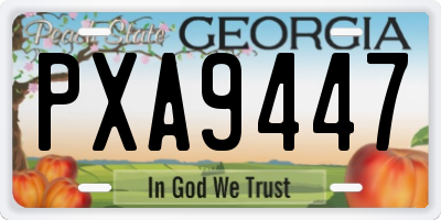 GA license plate PXA9447