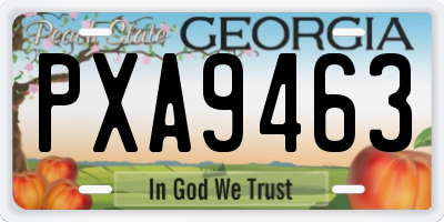 GA license plate PXA9463