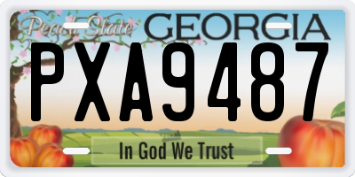 GA license plate PXA9487