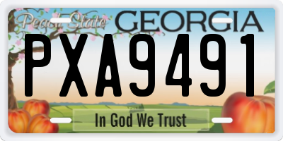 GA license plate PXA9491