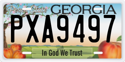 GA license plate PXA9497