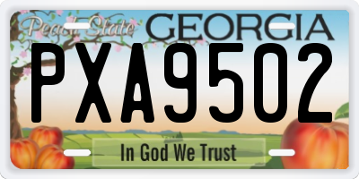GA license plate PXA9502