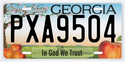 GA license plate PXA9504