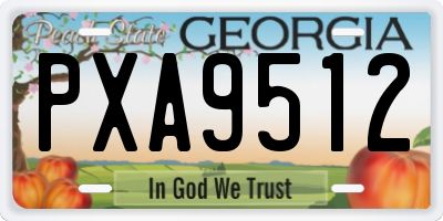 GA license plate PXA9512