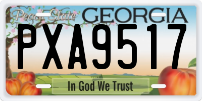 GA license plate PXA9517