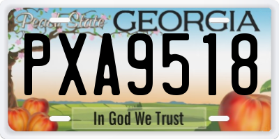 GA license plate PXA9518
