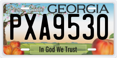 GA license plate PXA9530