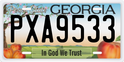 GA license plate PXA9533